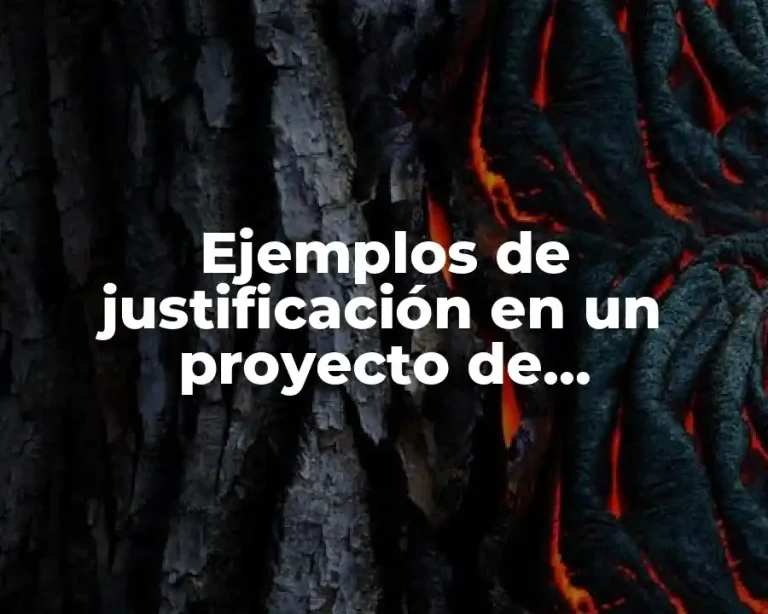Ejemplos de justificación en un proyecto de investigación