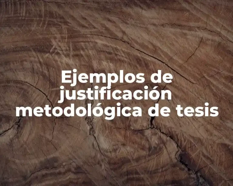 Ejemplos de justificación metodológica de tesis