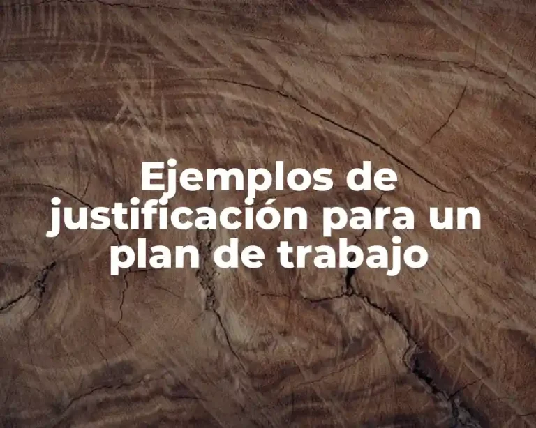 Ejemplos de justificación para un plan de trabajo