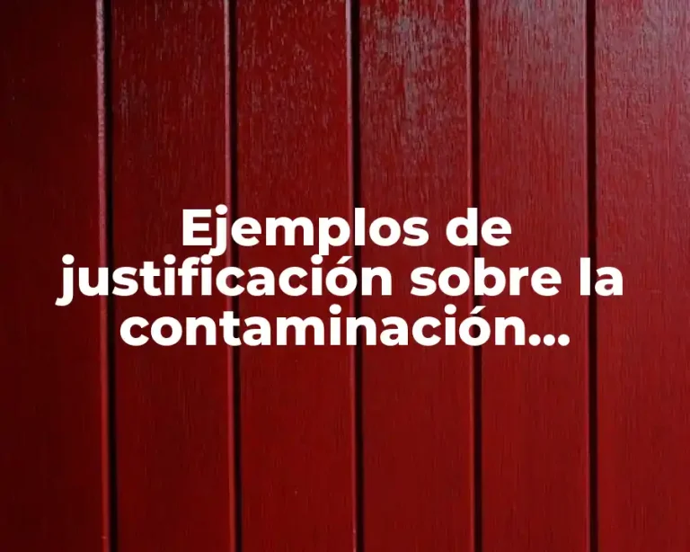 Ejemplos de justificación sobre la contaminación ambiental