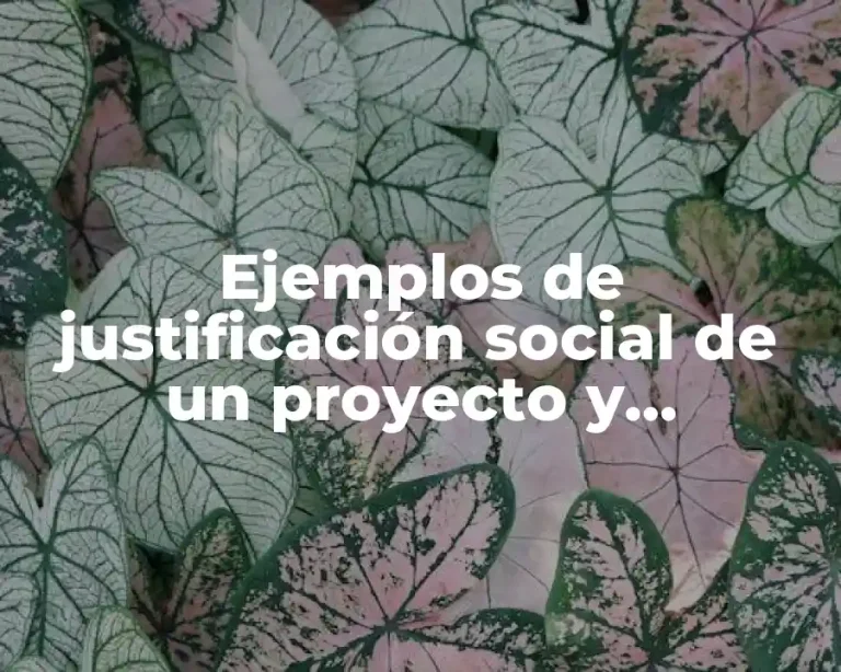 Ejemplos de justificación social de un proyecto y Significado
