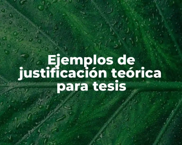 Ejemplos de justificación teórica para tesis