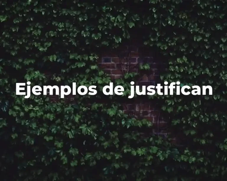 Ejemplos de justifican