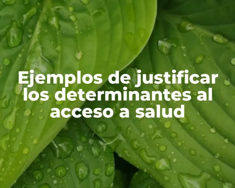 Ejemplos de justificar los determinantes al acceso a salud