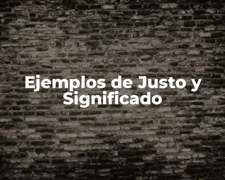 Ejemplos de Justo y Significado