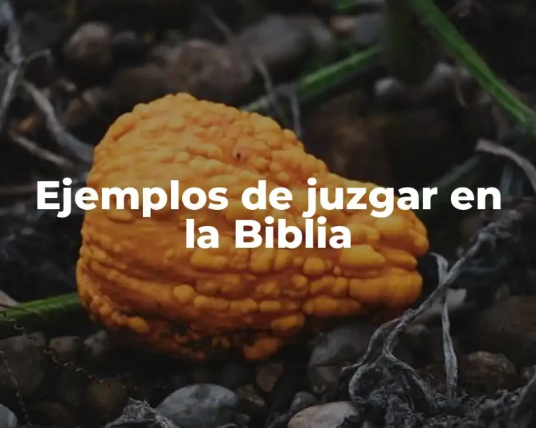 Ejemplos de juzgar en la Biblia