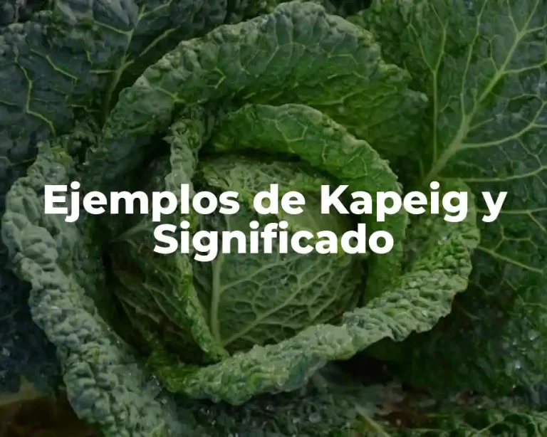 Ejemplos de Kapeig y Significado
