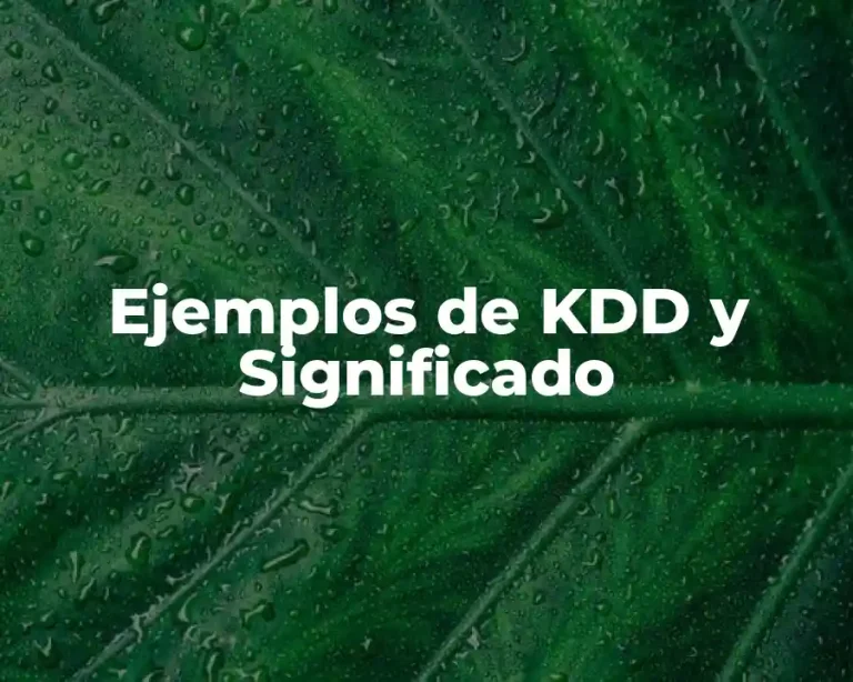 Ejemplos de KDD y Significado