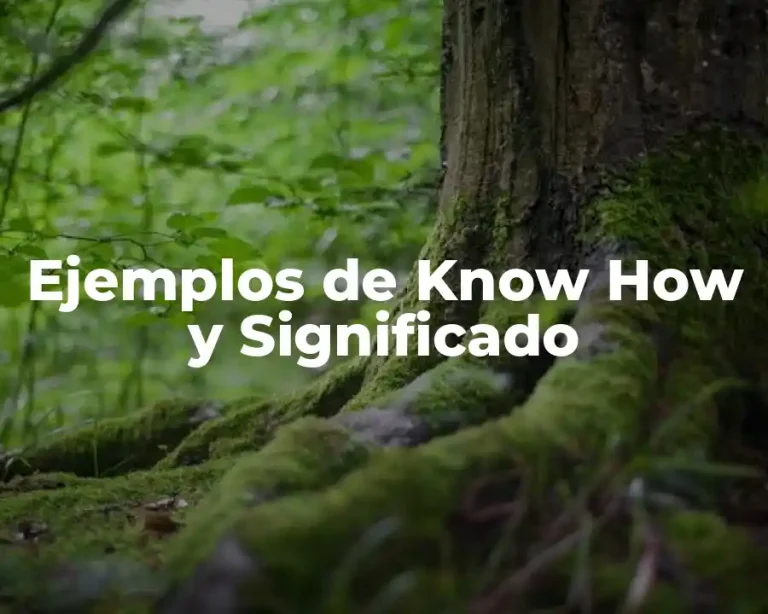 Ejemplos de Know How y Significado