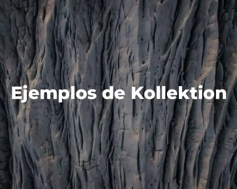 Ejemplos de Kollektion