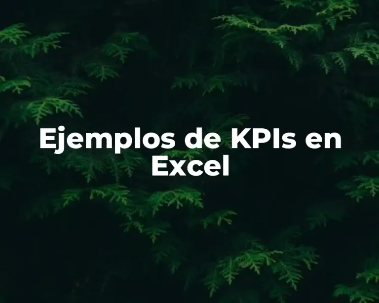 Ejemplos de KPIs en Excel