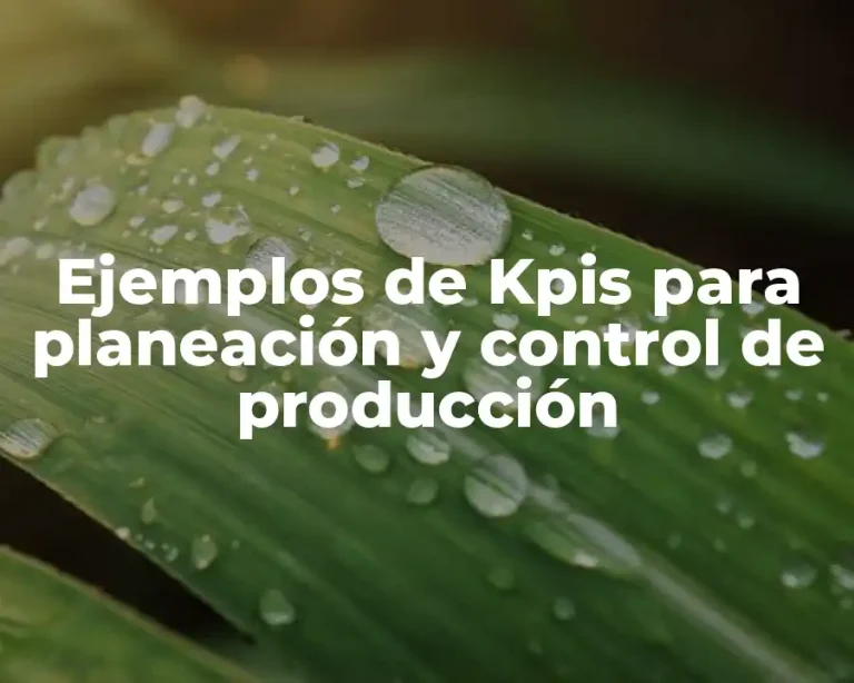 Ejemplos de Kpis para planeación y control de producción