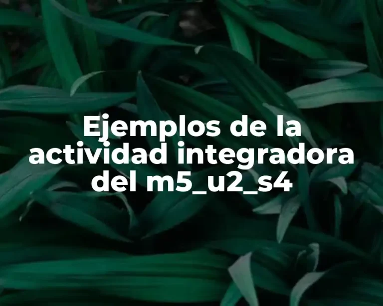 Ejemplos de la actividad integradora del m5_u2_s4