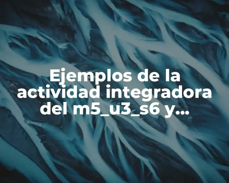Ejemplos de la actividad integradora del m5_u3_s6 y Significado