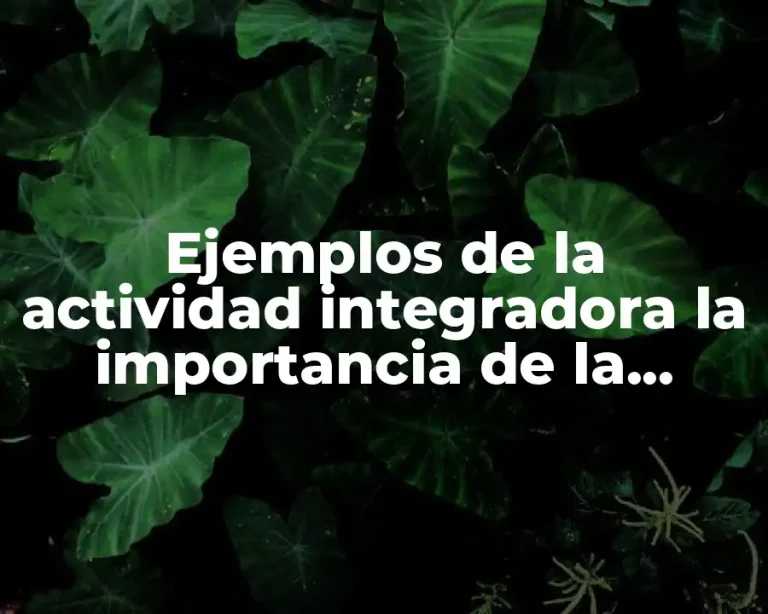 Ejemplos de la actividad integradora la importancia de la escritura