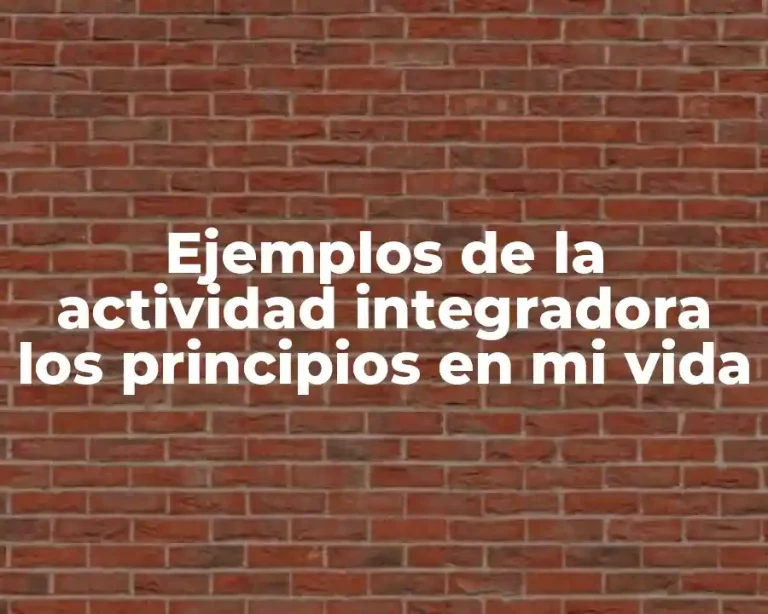 Ejemplos de la actividad integradora los principios en mi vida