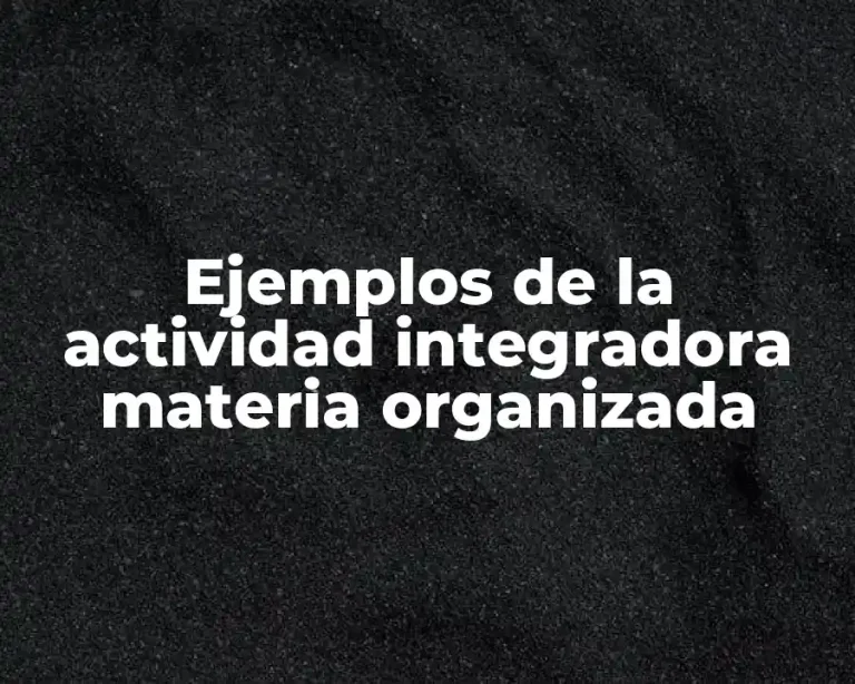 Ejemplos de la actividad integradora materia organizada