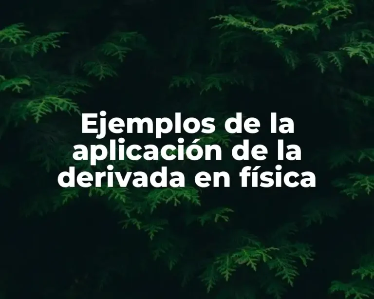 Ejemplos de la aplicación de la derivada en física