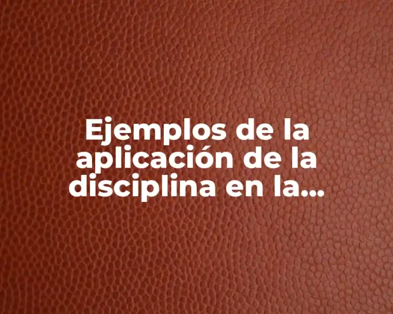 Ejemplos de la aplicación de la disciplina en la sociedad y Significado