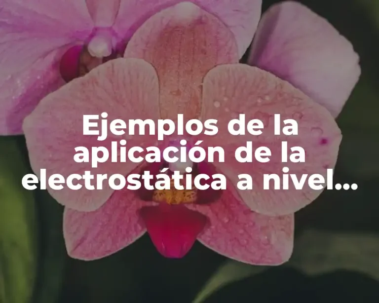 Ejemplos de la aplicación de la electrostática a nivel industrial