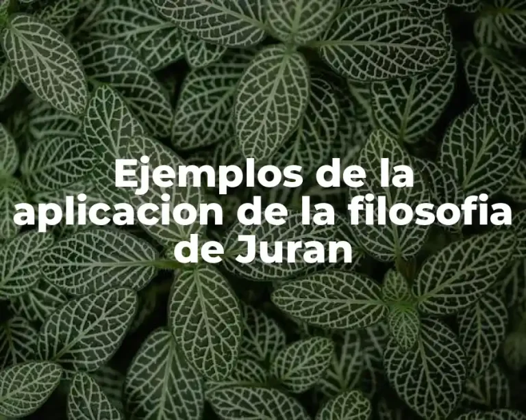 Ejemplos de la aplicacion de la filosofia de Juran