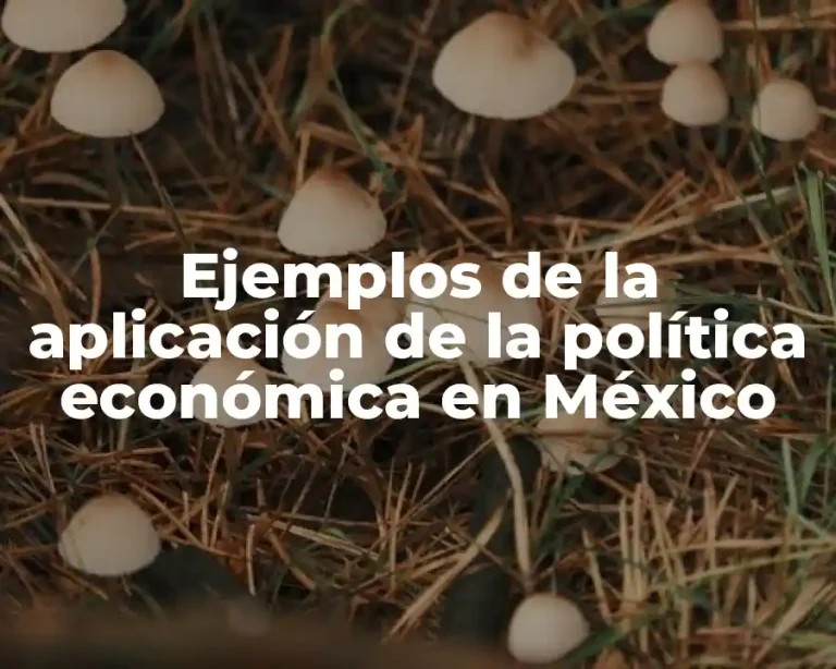 Ejemplos de la aplicación de la política económica en México