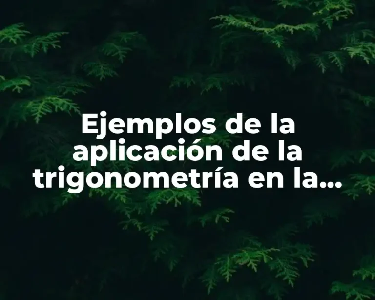 Ejemplos de la aplicación de la trigonometría en la navegación