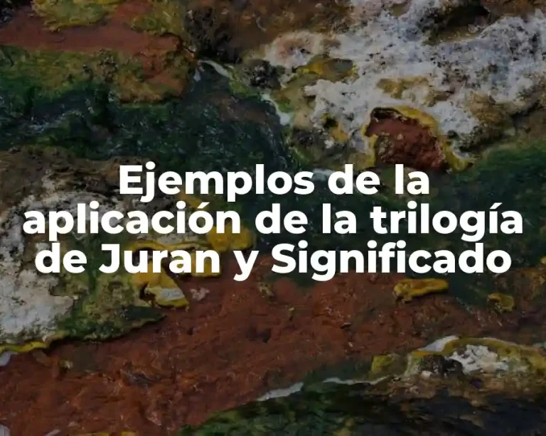 Ejemplos de la aplicación de la trilogía de Juran y Significado