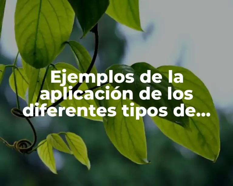 Ejemplos de la aplicación de los diferentes tipos de poder y Significado