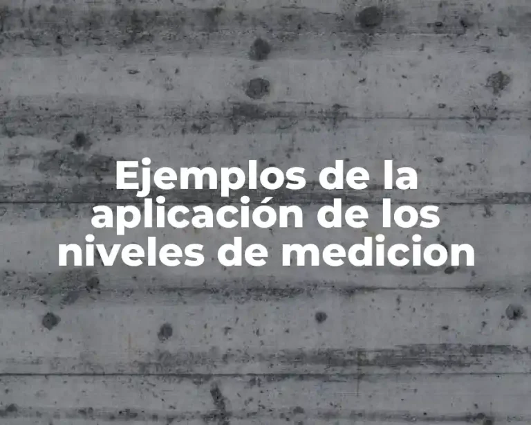 Ejemplos de la aplicación de los niveles de medicion