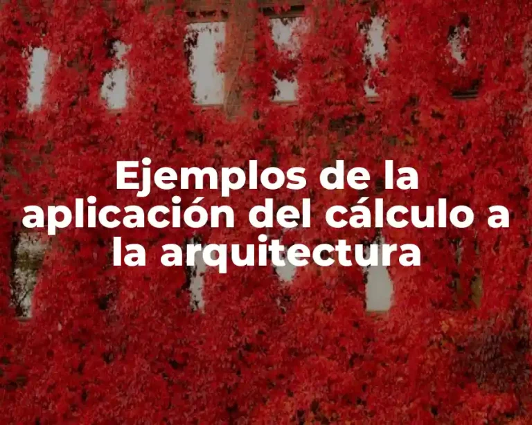 Ejemplos de la aplicación del cálculo a la arquitectura
