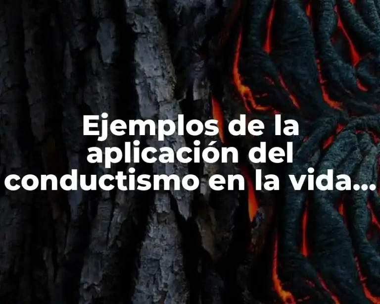 Ejemplos de la aplicación del conductismo en la vida diaria