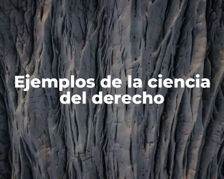 Ejemplos de la ciencia del derecho