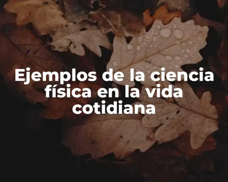 Ejemplos de la ciencia física en la vida cotidiana