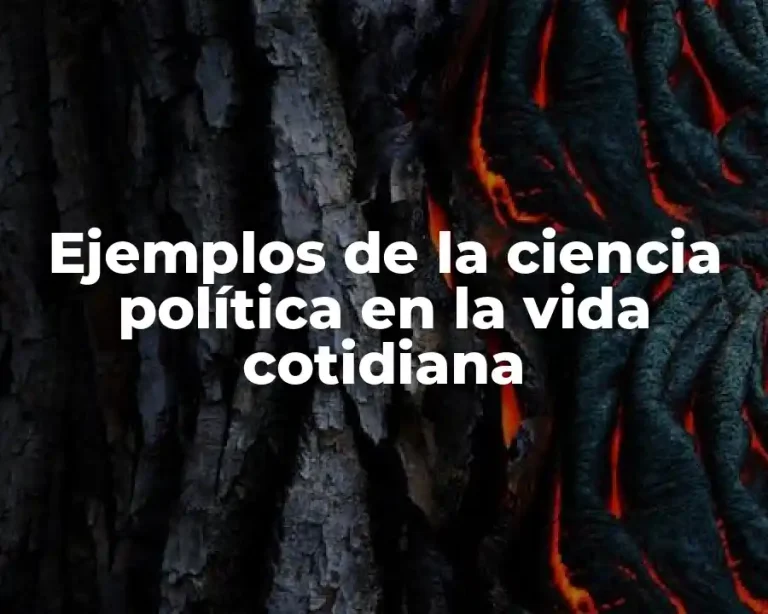 Ejemplos de la ciencia política en la vida cotidiana