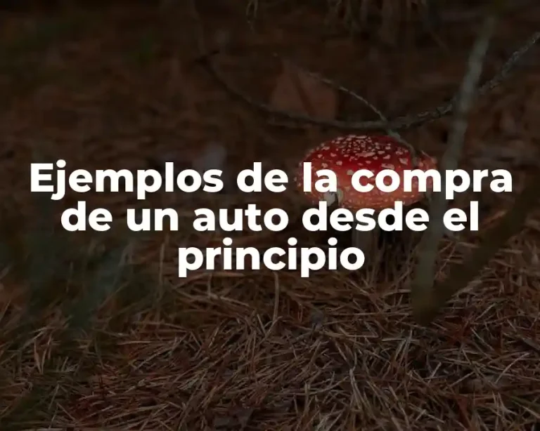 Ejemplos de la compra de un auto desde el principio