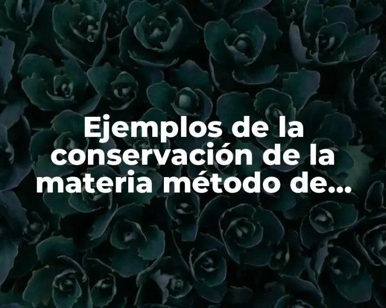 Ejemplos de la conservación de la materia método de tanteo