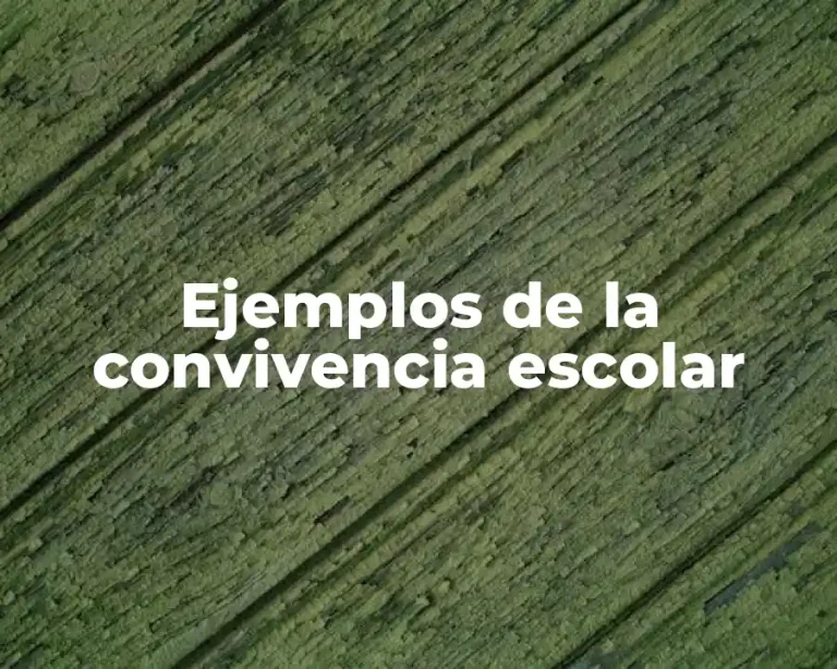 Ejemplos de la convivencia escolar
