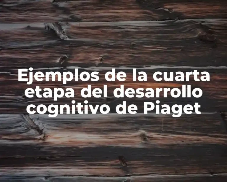 Ejemplos de la cuarta etapa del desarrollo cognitivo de Piaget