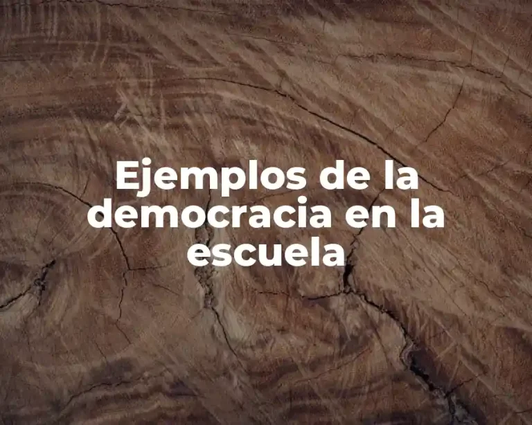 Ejemplos de la democracia en la escuela