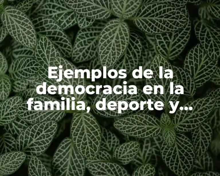Ejemplos de la democracia en la familia, deporte y escuela