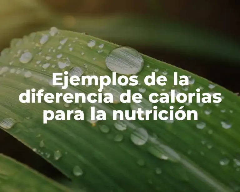 Ejemplos de la diferencia de calorias para la nutrición