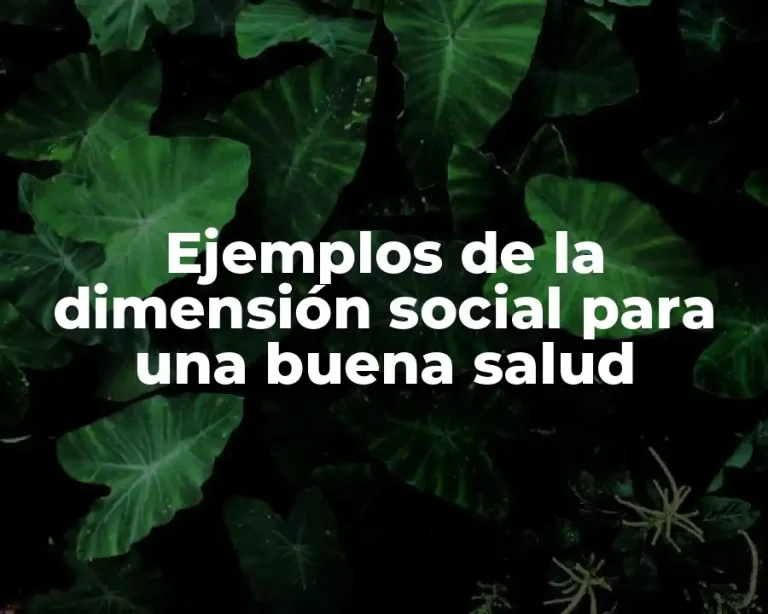 Ejemplos de la dimensión social para una buena salud