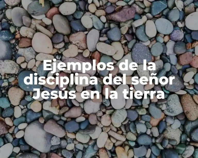 Ejemplos de la disciplina del señor Jesús en la tierra