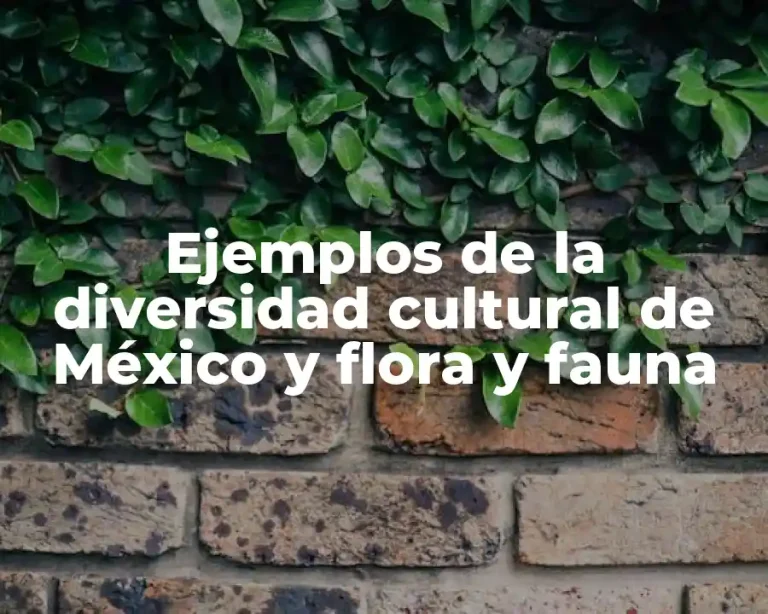 Ejemplos de la diversidad cultural de México y flora y fauna