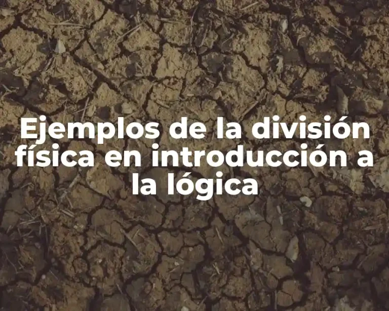 Ejemplos de la división física en introducción a la lógica