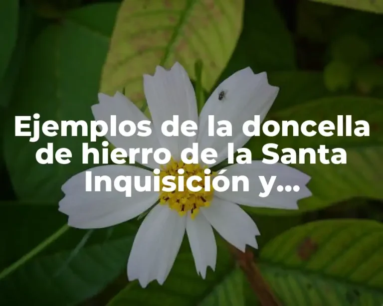 Ejemplos de la doncella de hierro de la Santa Inquisición y Significado