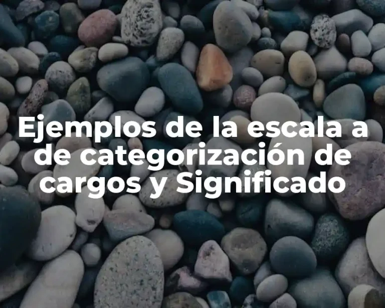 Ejemplos de la escala a de categorización de cargos y Significado