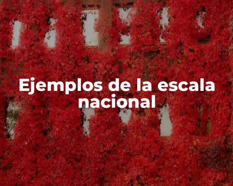 Ejemplos de la escala nacional