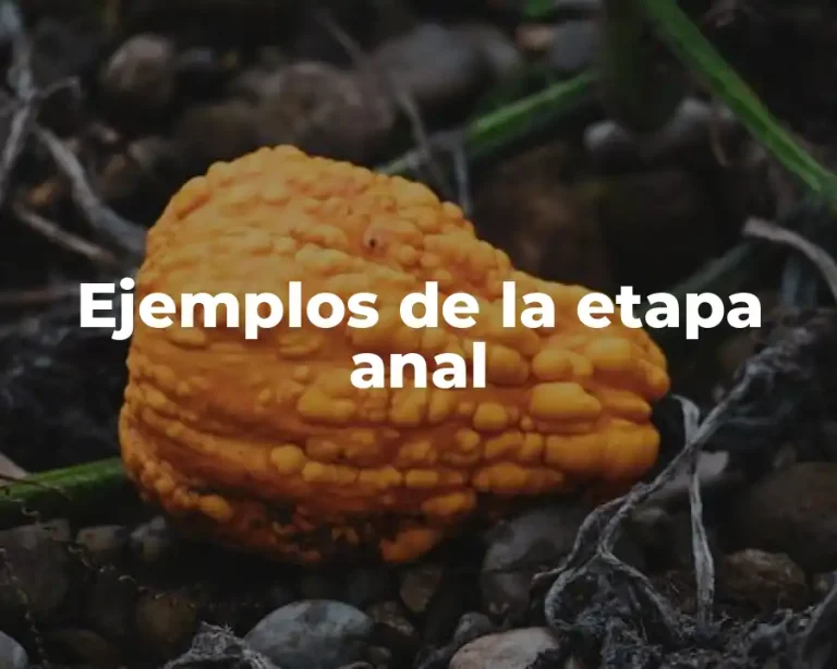 Ejemplos de la etapa anal